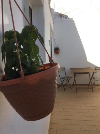 Casa Da Madrinha Villa Vila do Bispo Dış mekan fotoğraf